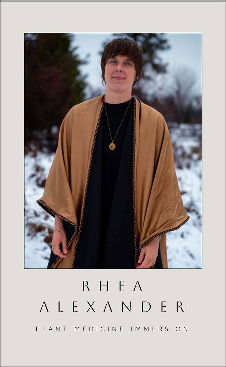 RHEA ALEXANDER