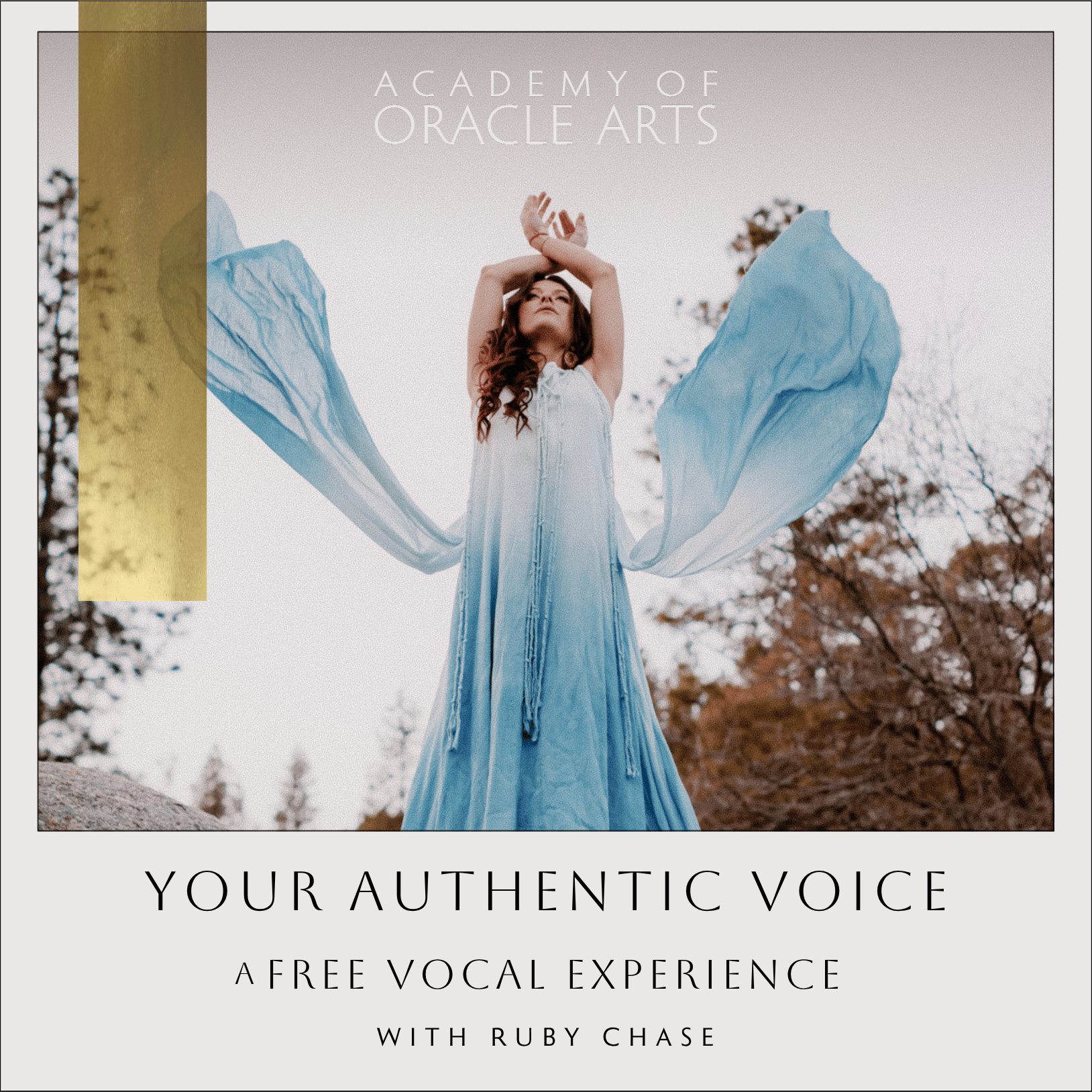 YOUR AUTHENTIC VOICE WEBINAR TILE